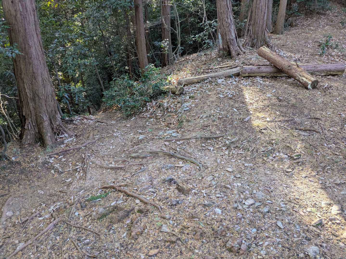 ここは難しい。鋭角に曲がる