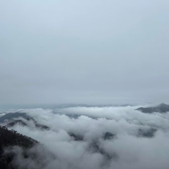 富士山は見えないが雲海が綺麗だった