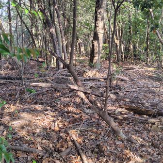 どこでも通れるから問題はありませんが。