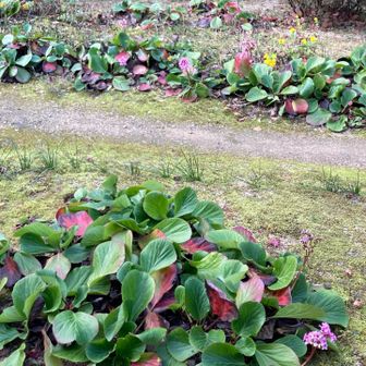 境内には花が咲いていて和みます。