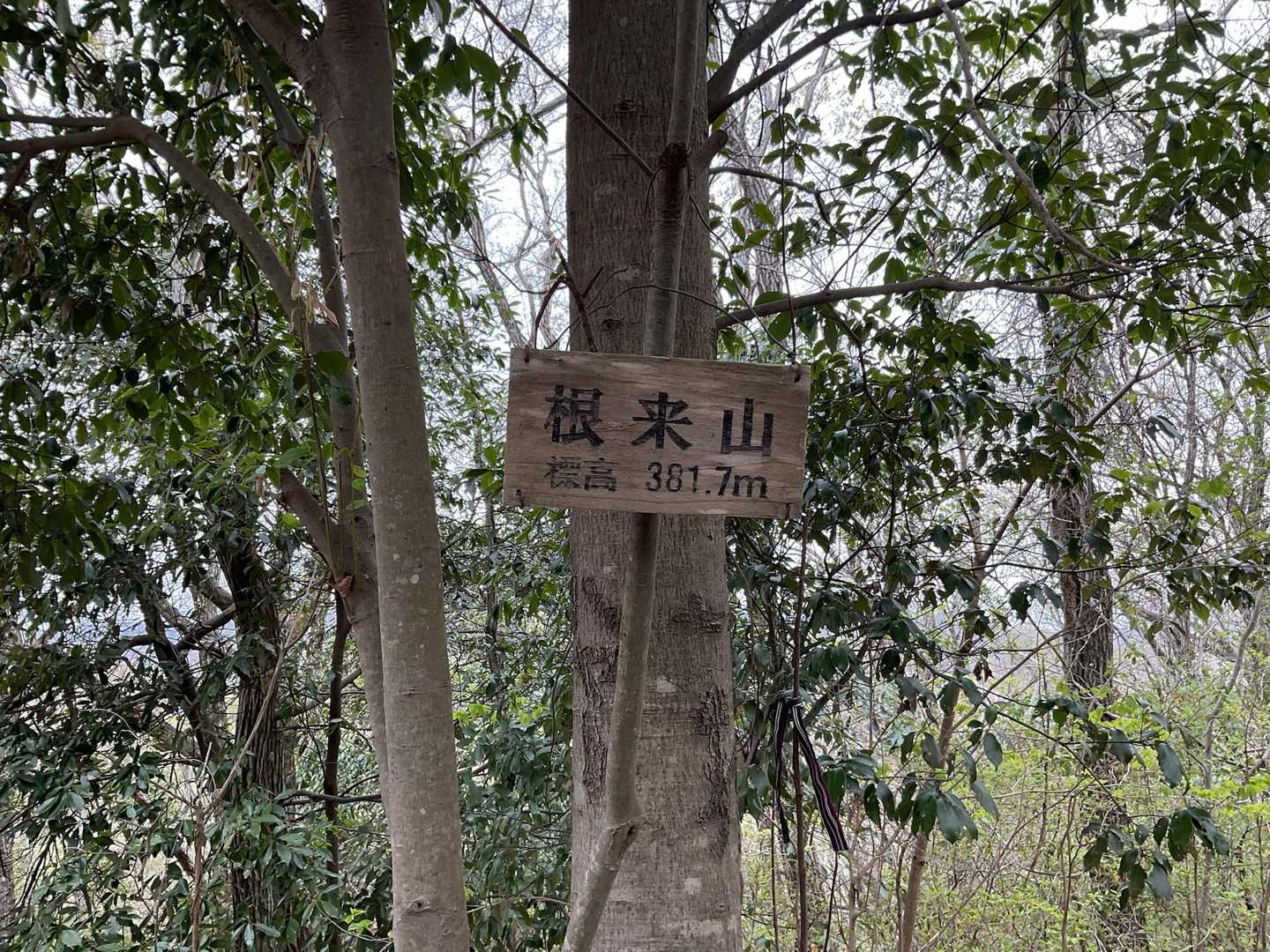 根来山げんきの森管理棟-根来両景峰 周回コースの写真