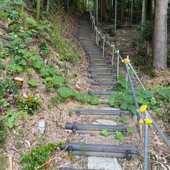うん、確かに整備されてる。
まだまだこれからもっと良くしていかれるそうですよ〜🥰