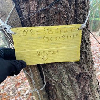 めくってみると……