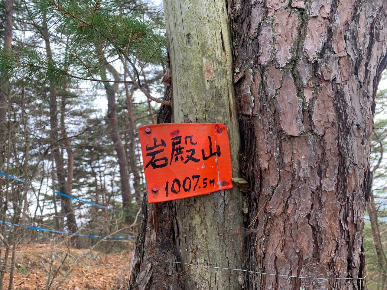 地味なピークです