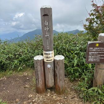 白砂山なんとか登頂（ここは、先に行ってもらった人がいましたが、おつかれ山てぬぐいを撮る元気無し😔）