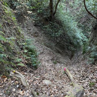 ここは左手方面