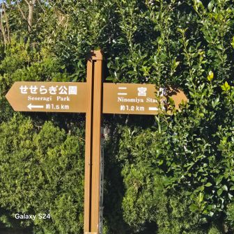 中里登山口まで戻ってきた
こちらが、私をせせらぎ公園になびかせた案内標識💢