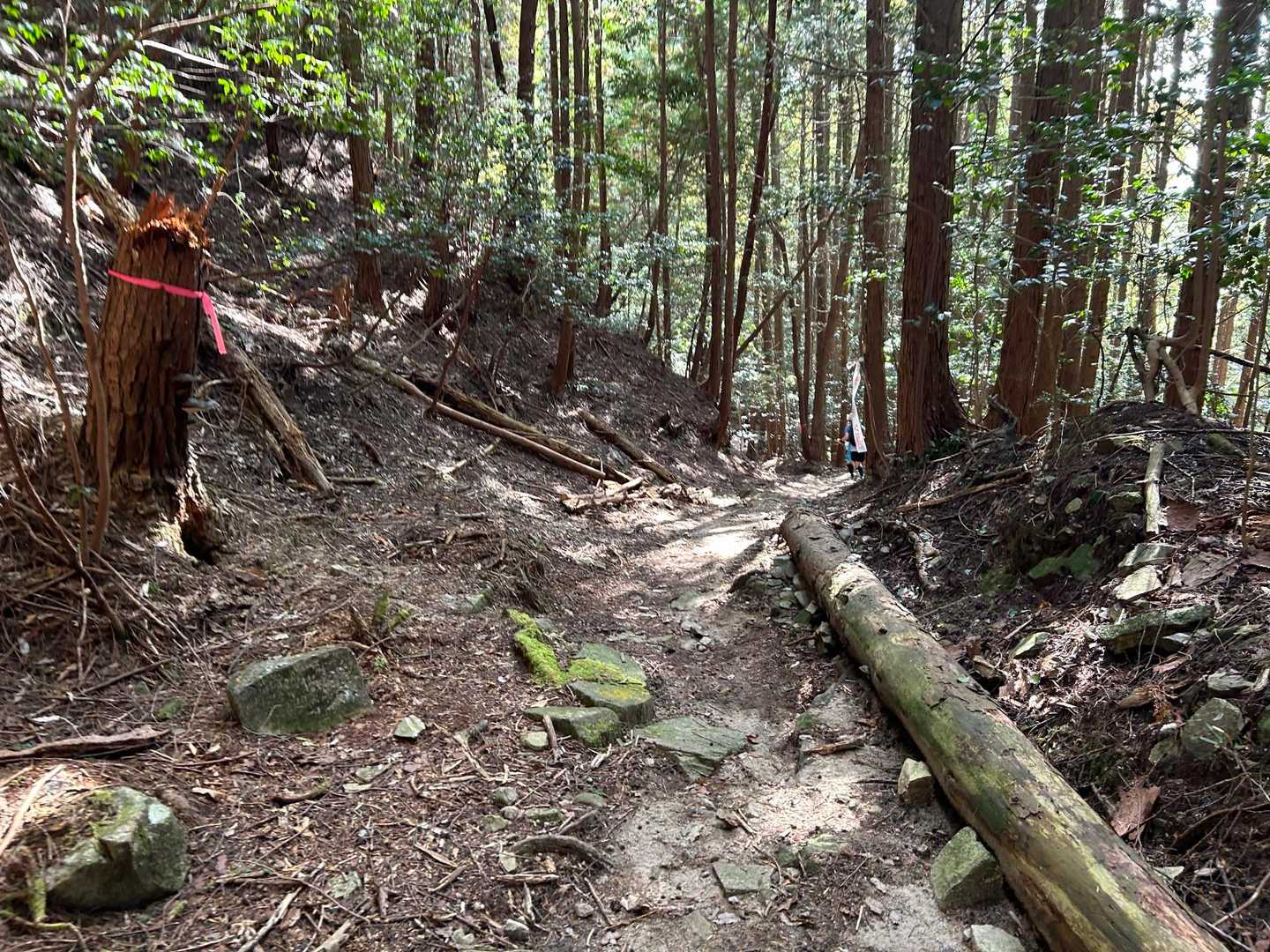 堂床山-冠山-可部峠 周回コースの写真