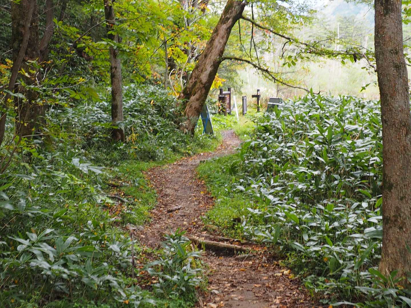 焼岳登山口標識がみえた。地名は上湯沢のようだ。