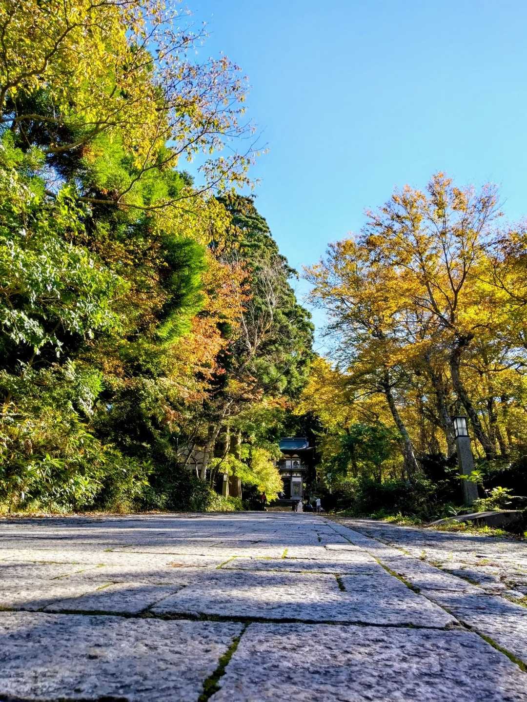 大山寺参道をゆっくり歩きます👍️
歩き始めのこの坂が一番辛かった😭