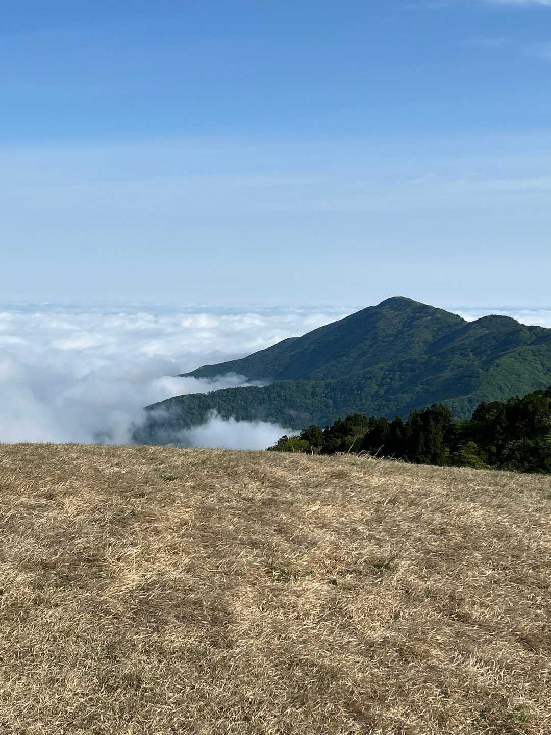 遠くに金北山