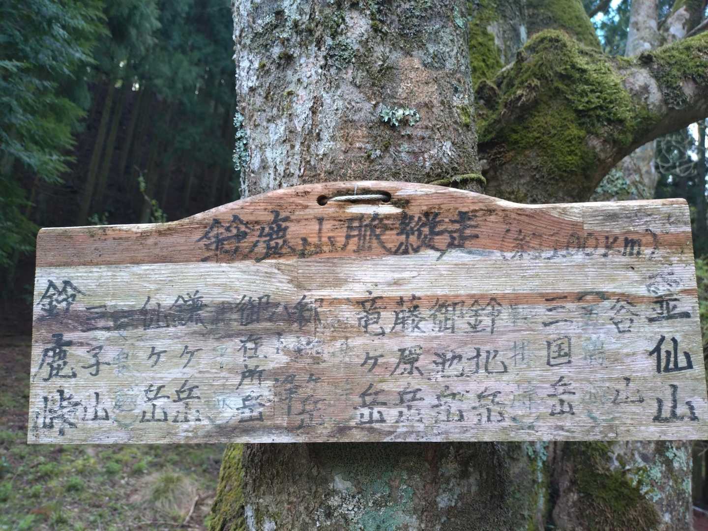 鈴鹿山脈縦走🥾霊仙山〜鈴鹿峠😳