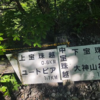 中宝珠越