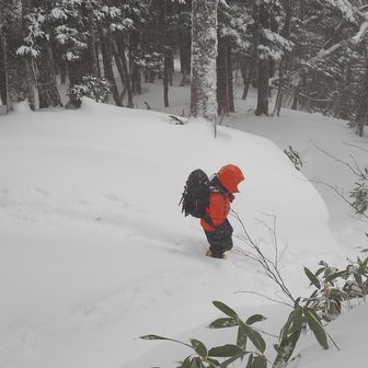登りより雪山感マシマシ。