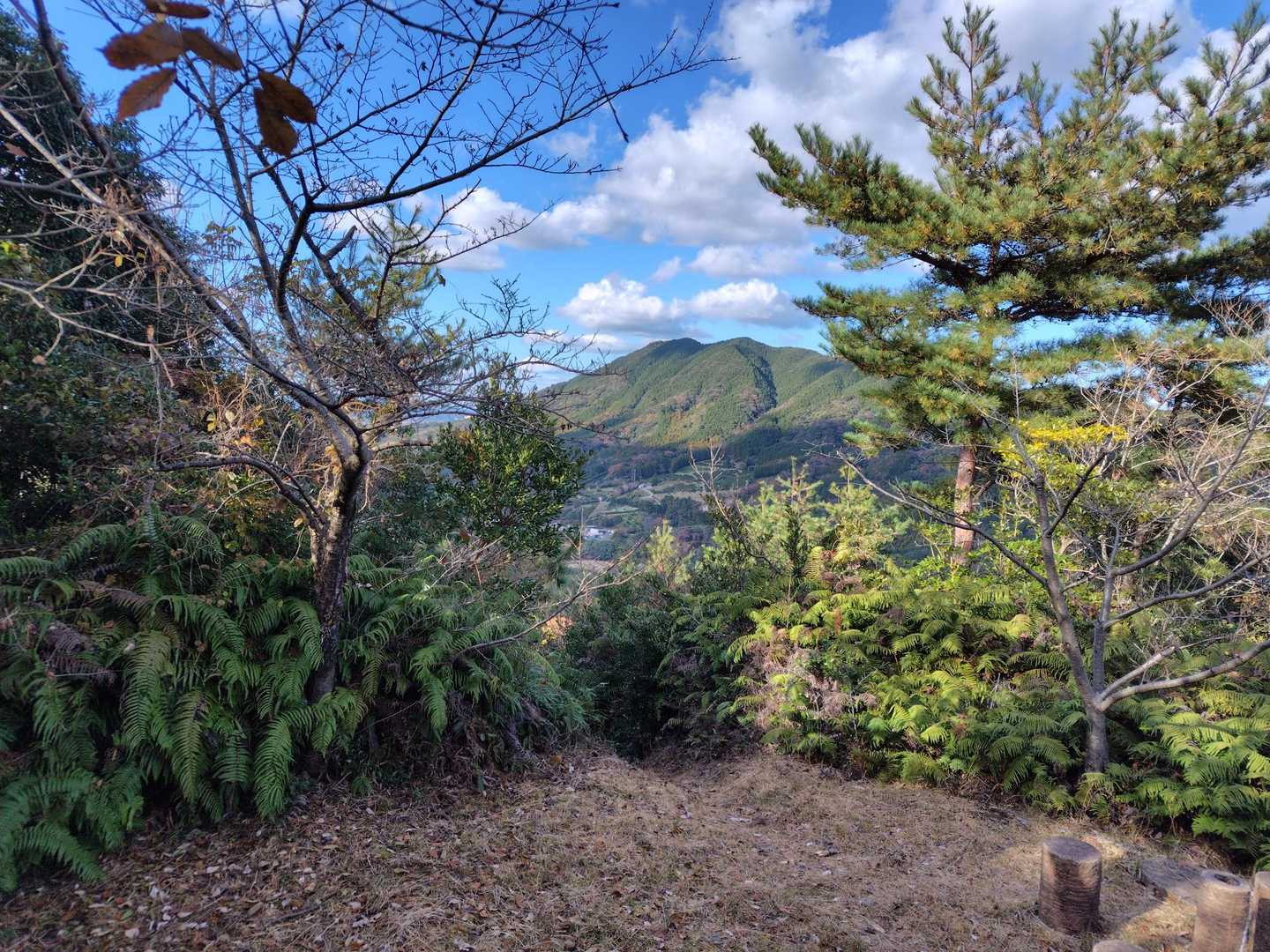 高祖山だ😄