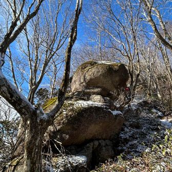 見る角度によってはこの大岩 🐢亀さんに見えました(*ˊᵕˋ*)