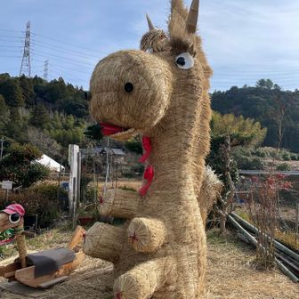 こんにゃく亭の🐴
愛嬌あって可愛い顔してる