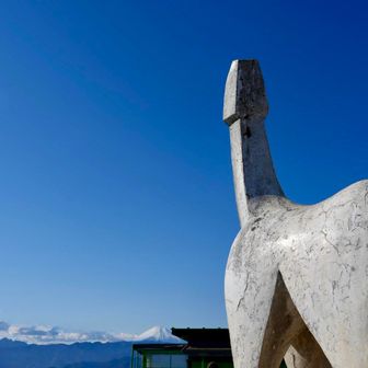 この角度はちょっと。。。