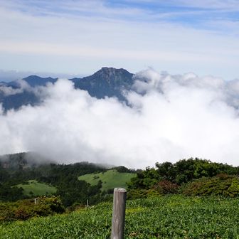 瓶ヶ森山頂から石鎚山を望む。山頂に立ったちょうどのタイミングで雲の間から石鎚山が姿を現してくれました。