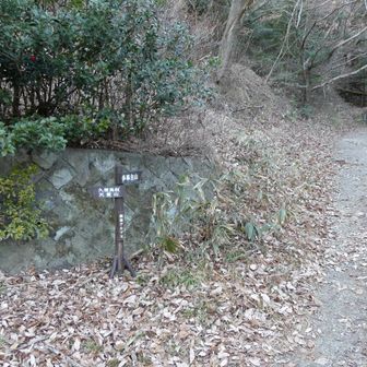 一旦街に下りてきました　