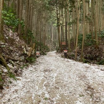 雪舞う吹き下ろしの風でかなり寒いです