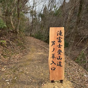 こちらから下山しました。
