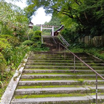 日向大神宮に寄り道
胎内くぐりもくぐり
