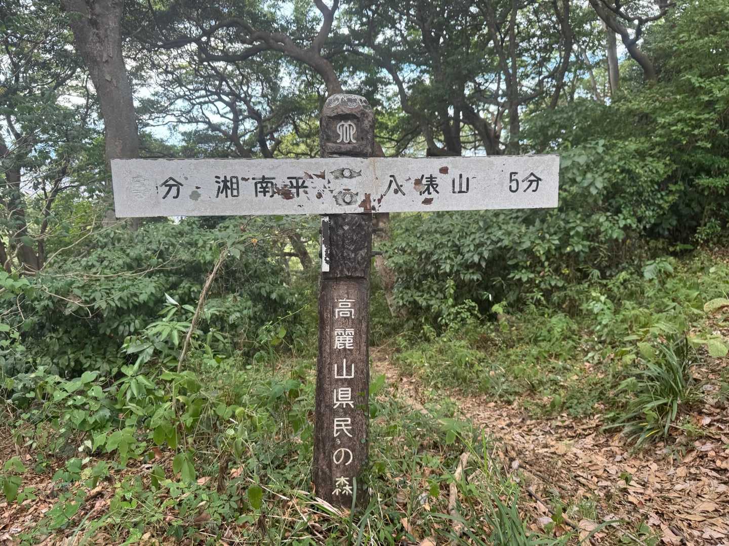 次は八俵山を目指します
あと5分です

　さっきまでメートルだったのに
　時間に変わりました😅

これも、登山あるある
