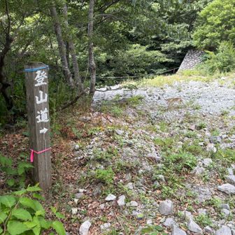 分かりやすい