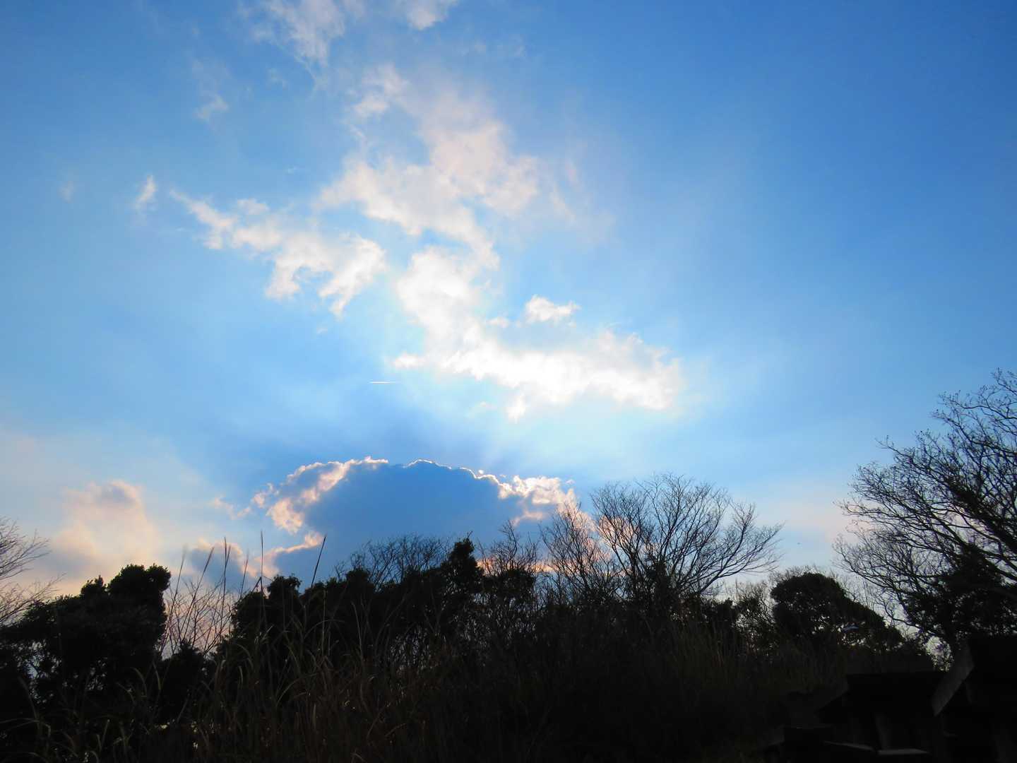 久しぶりに見た青空