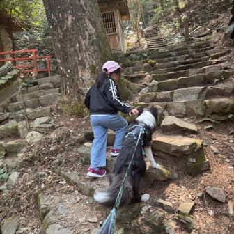 ほらここ左よ！未来の私から