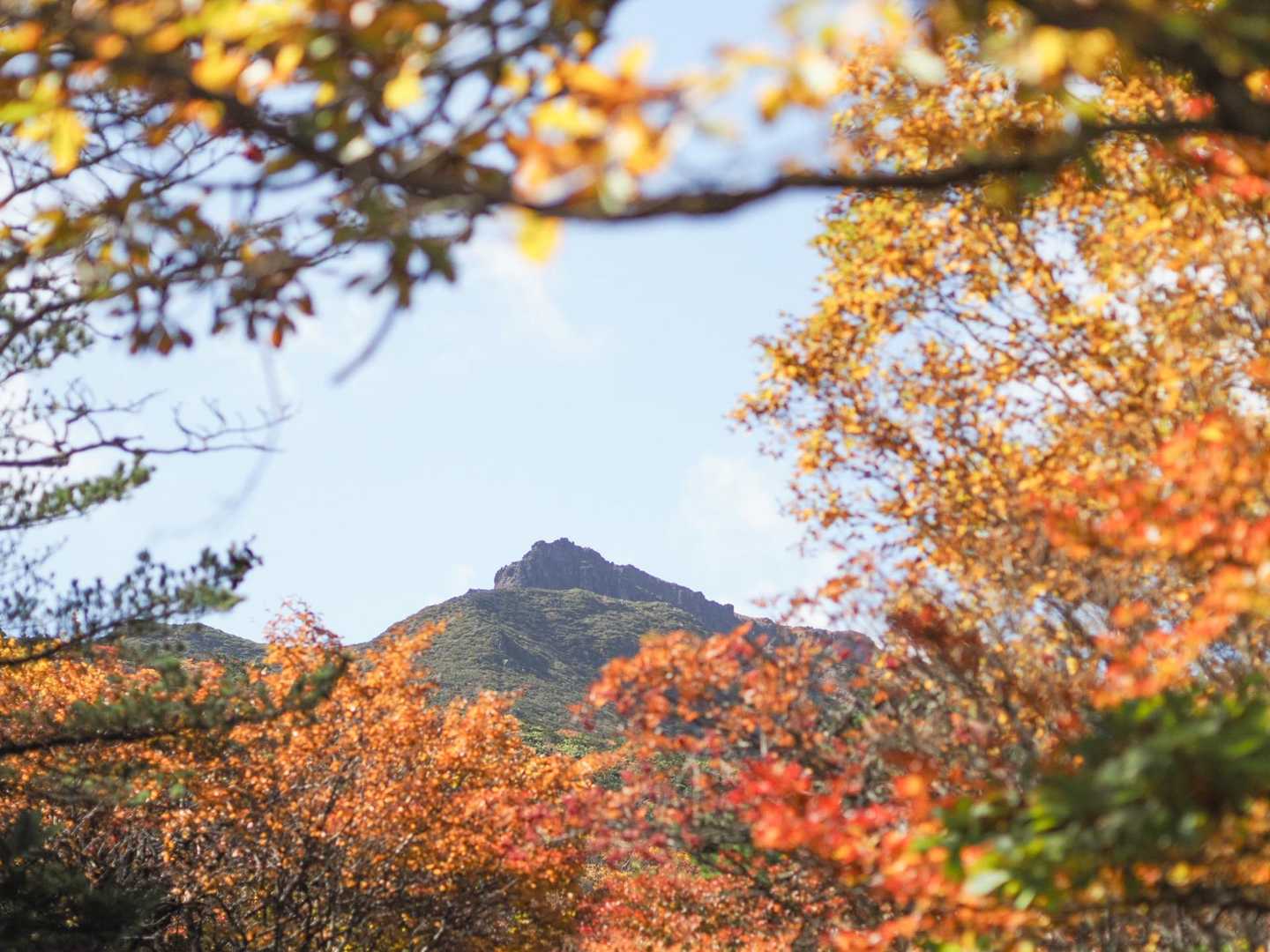 紅葉のフォトフレーム🍁