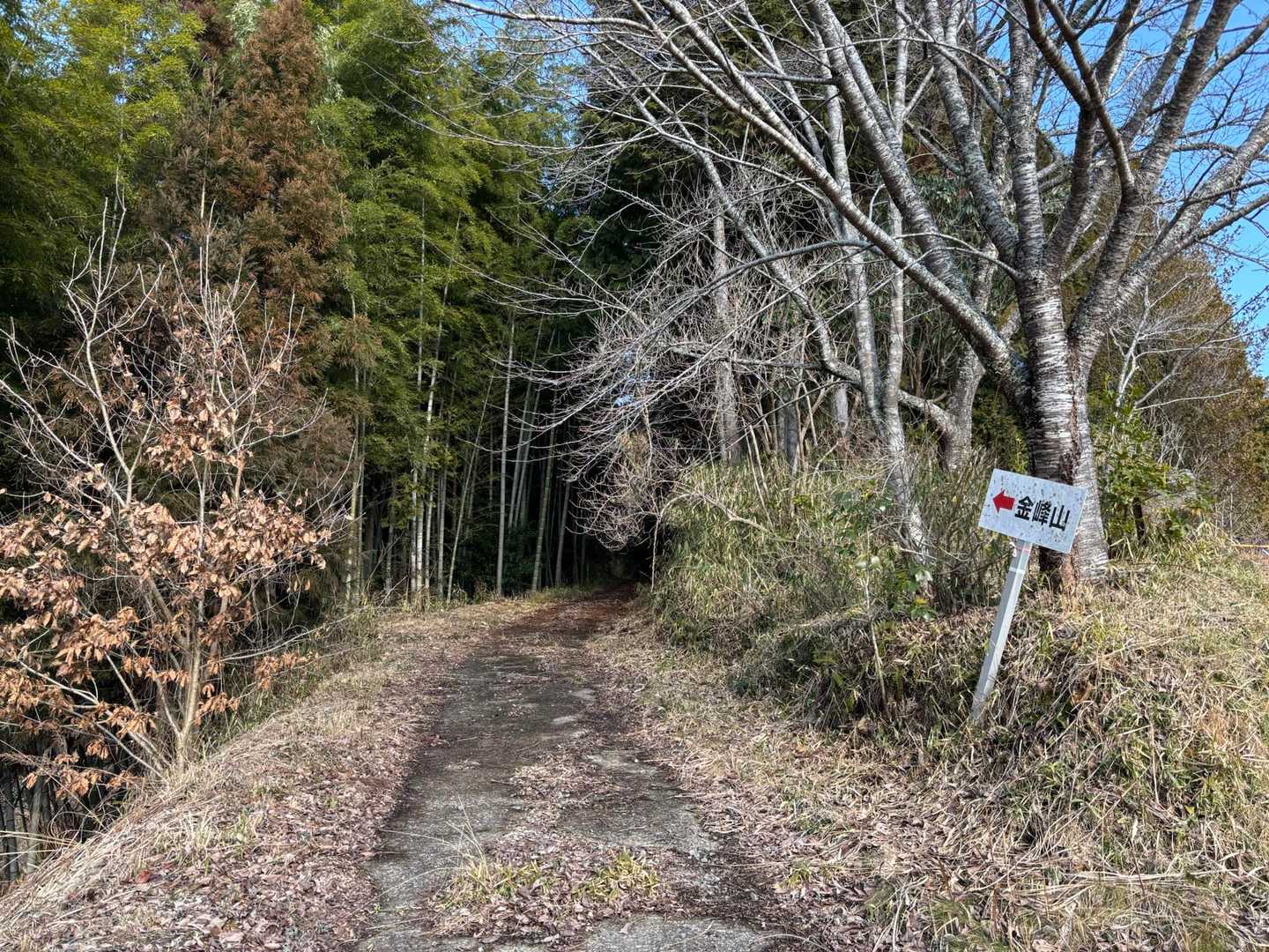 金峰山 往復コースの写真