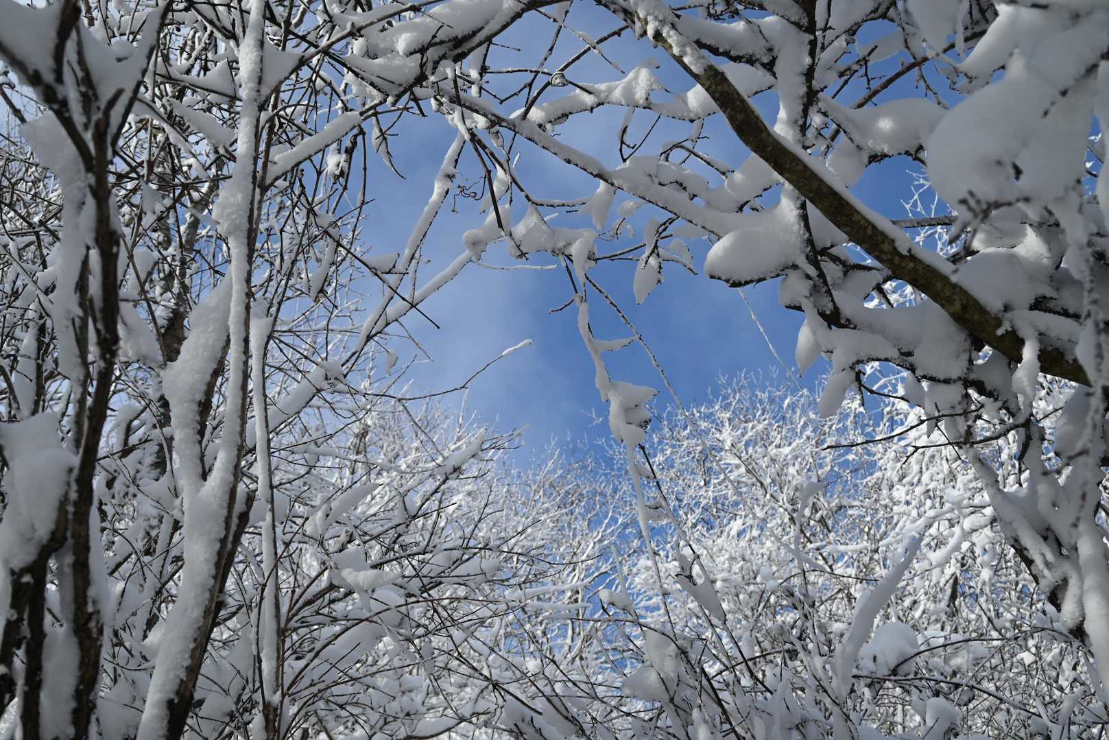 隙間から青空