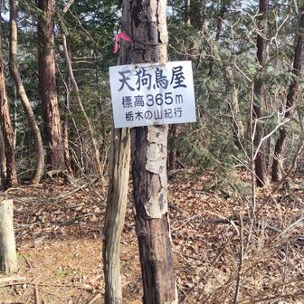 少し眺望あります👀