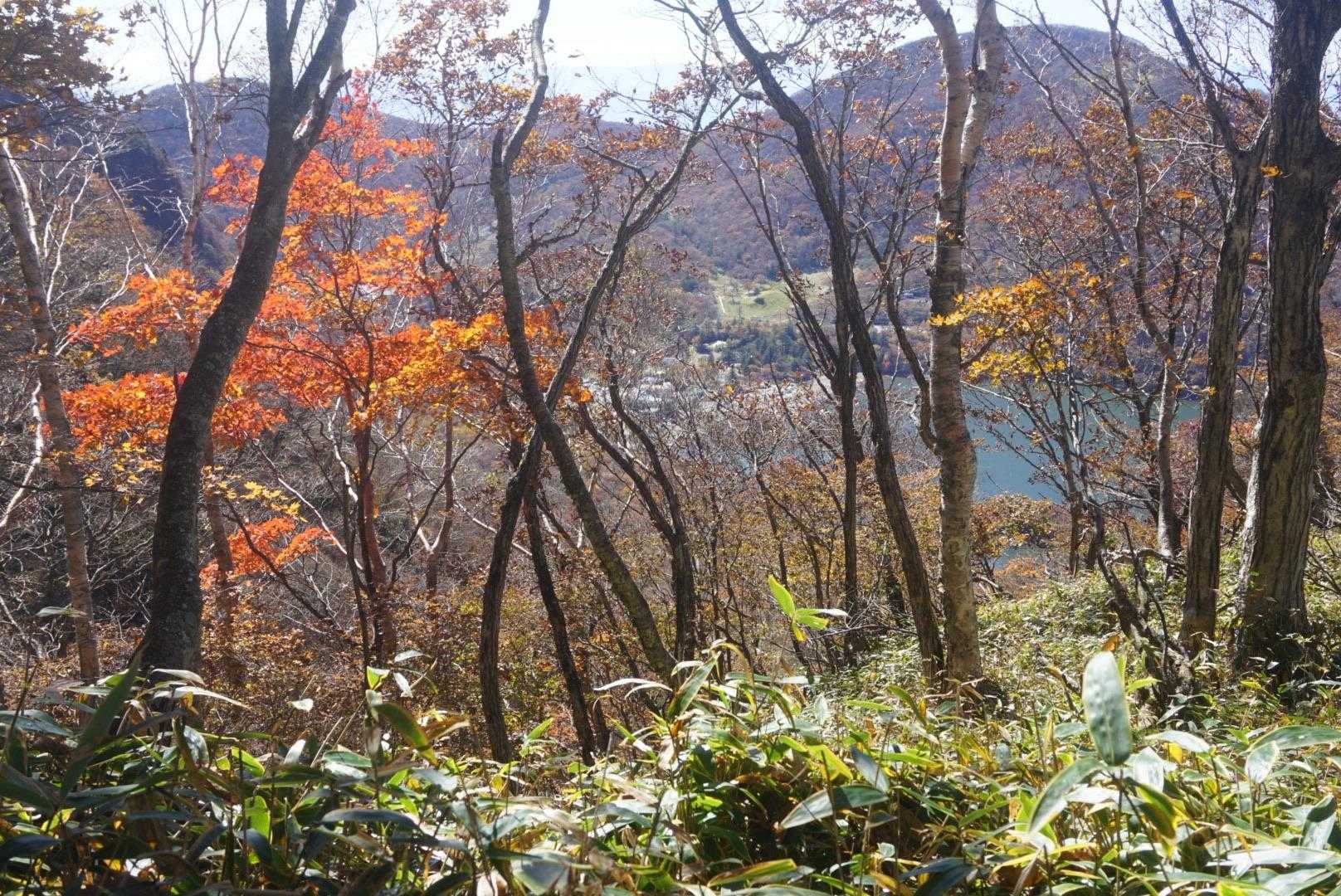 紅葉🍁と大沼