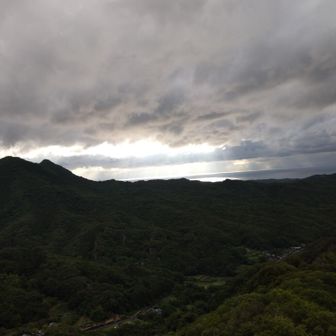 猪群山