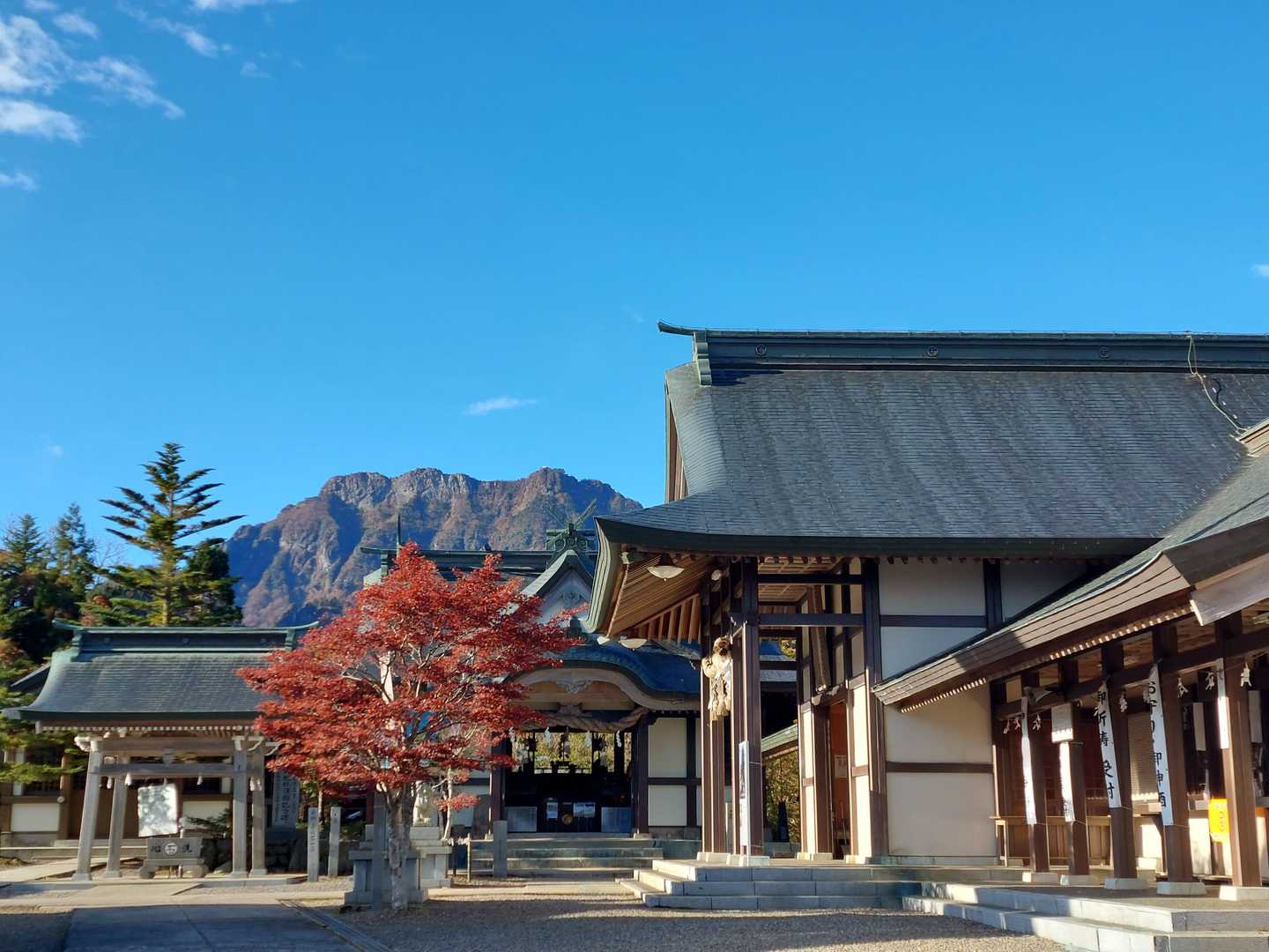 山頂はマダマダ上やし。( ノД`)…