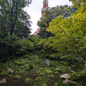 写真じゃ分かりにくいけど滝ありました✨