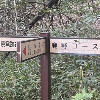 鹿野コースを登る予定が間違えて大回りしてしまいました