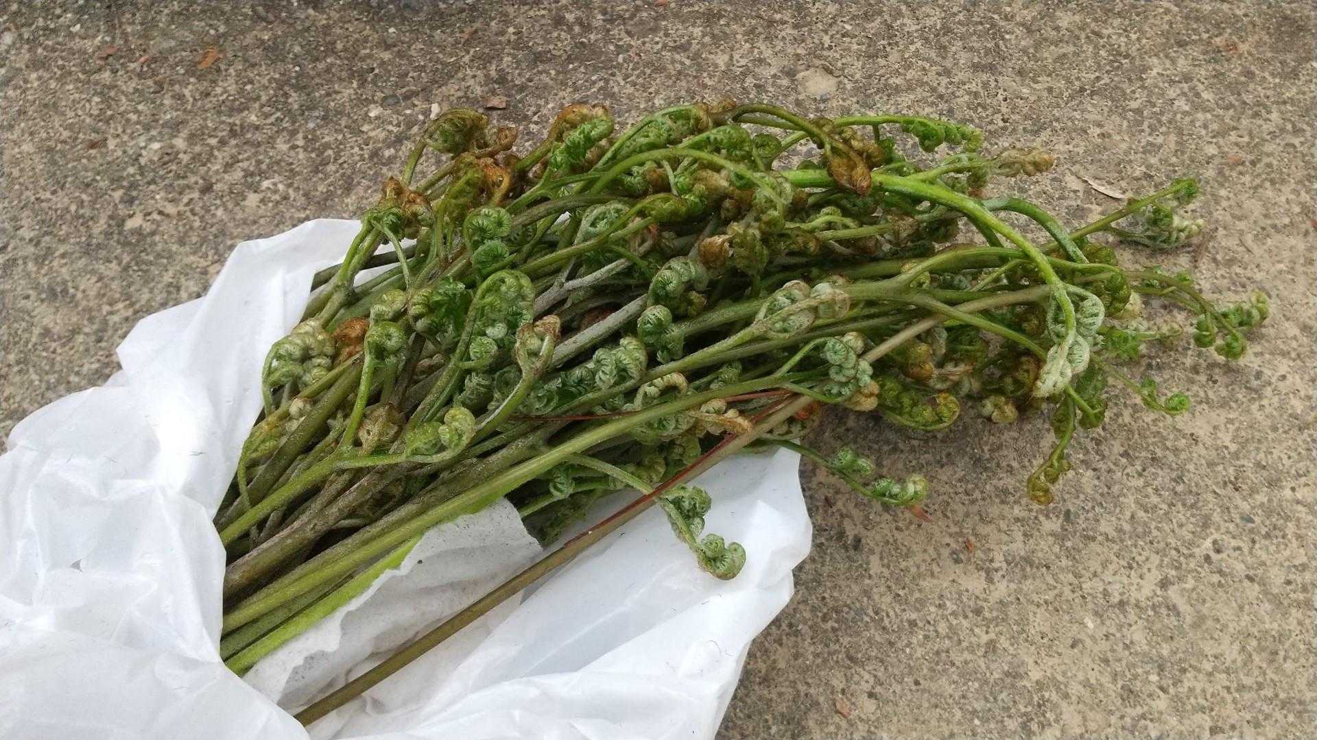 収穫～🤭🤭