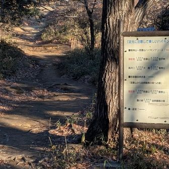 ここからハイキングコースへ