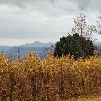 西側　米山⛰️方面