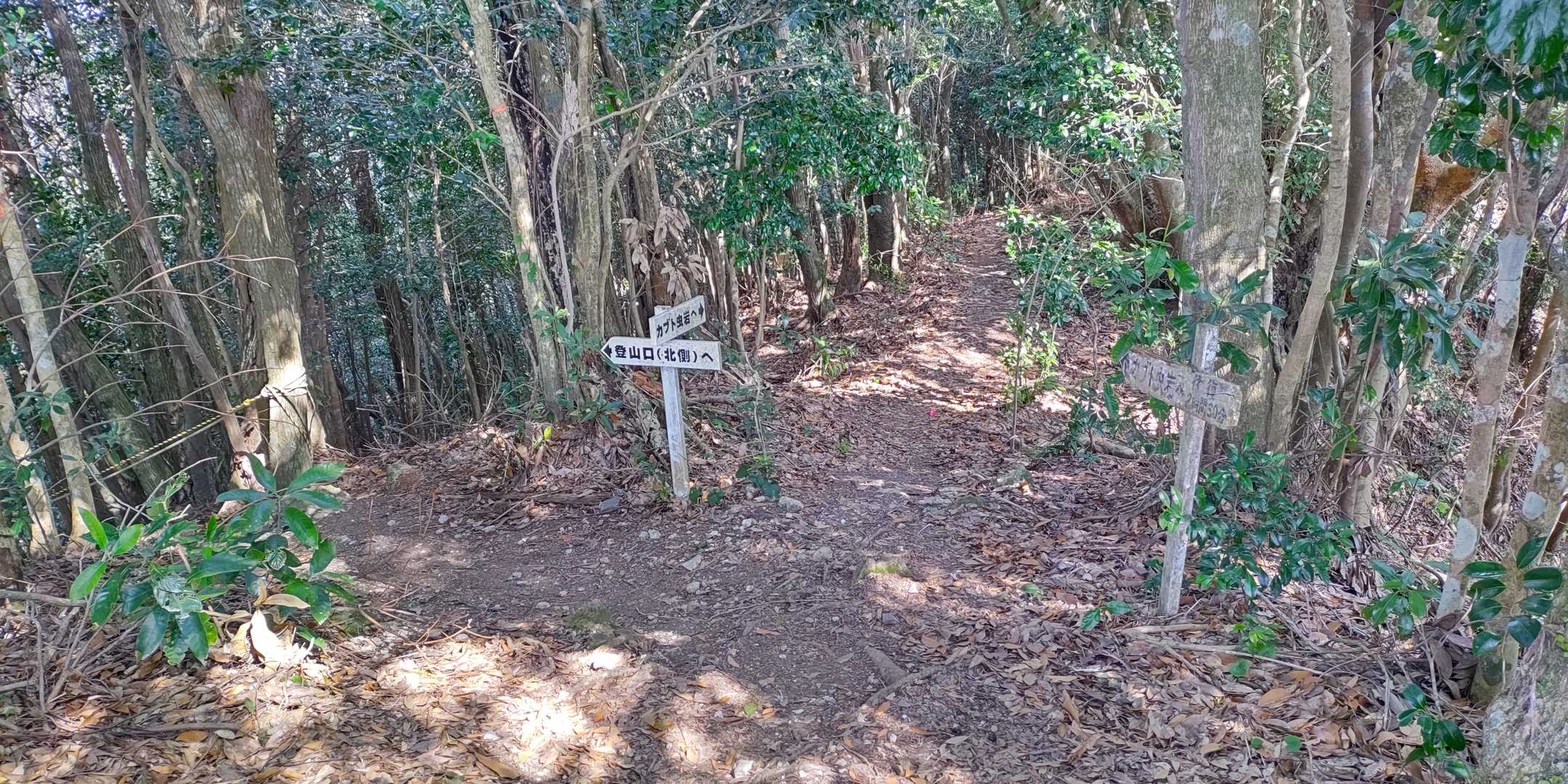 兜虫岩へ向かう