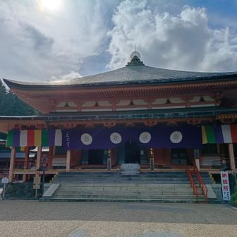 セ