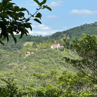 六甲山牧場かな