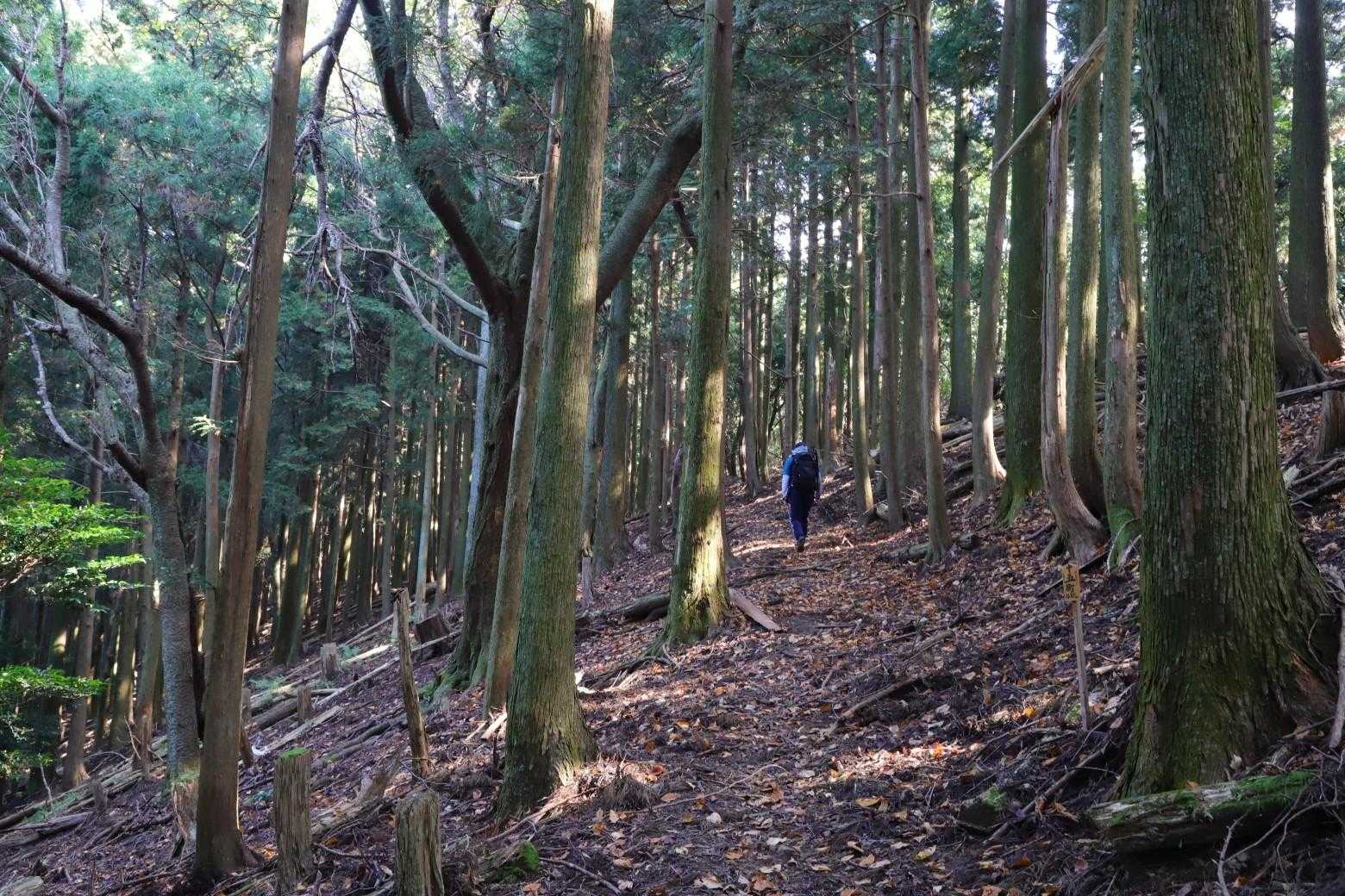 撮られてた