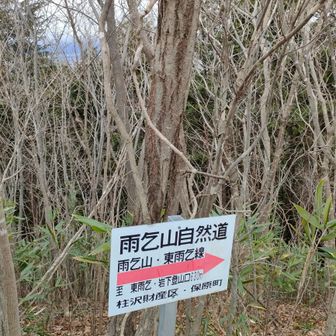 東雨乞線へは来た方向とは反対側へ。柱沢財産区