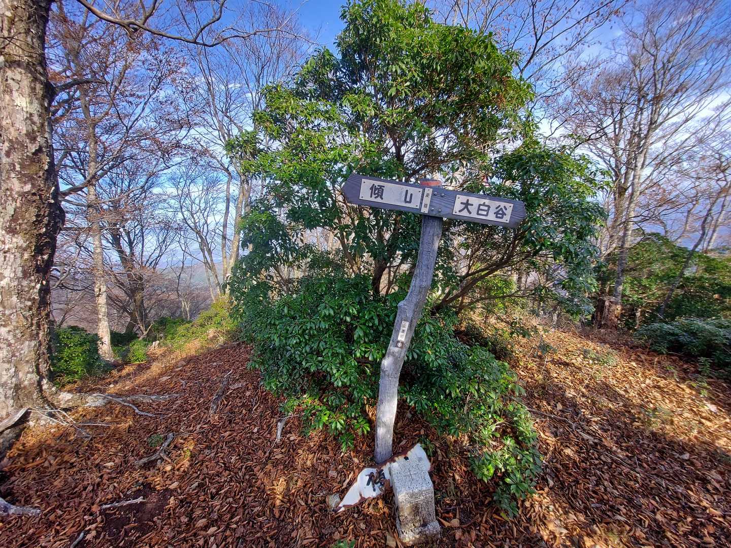 東傾山登頂