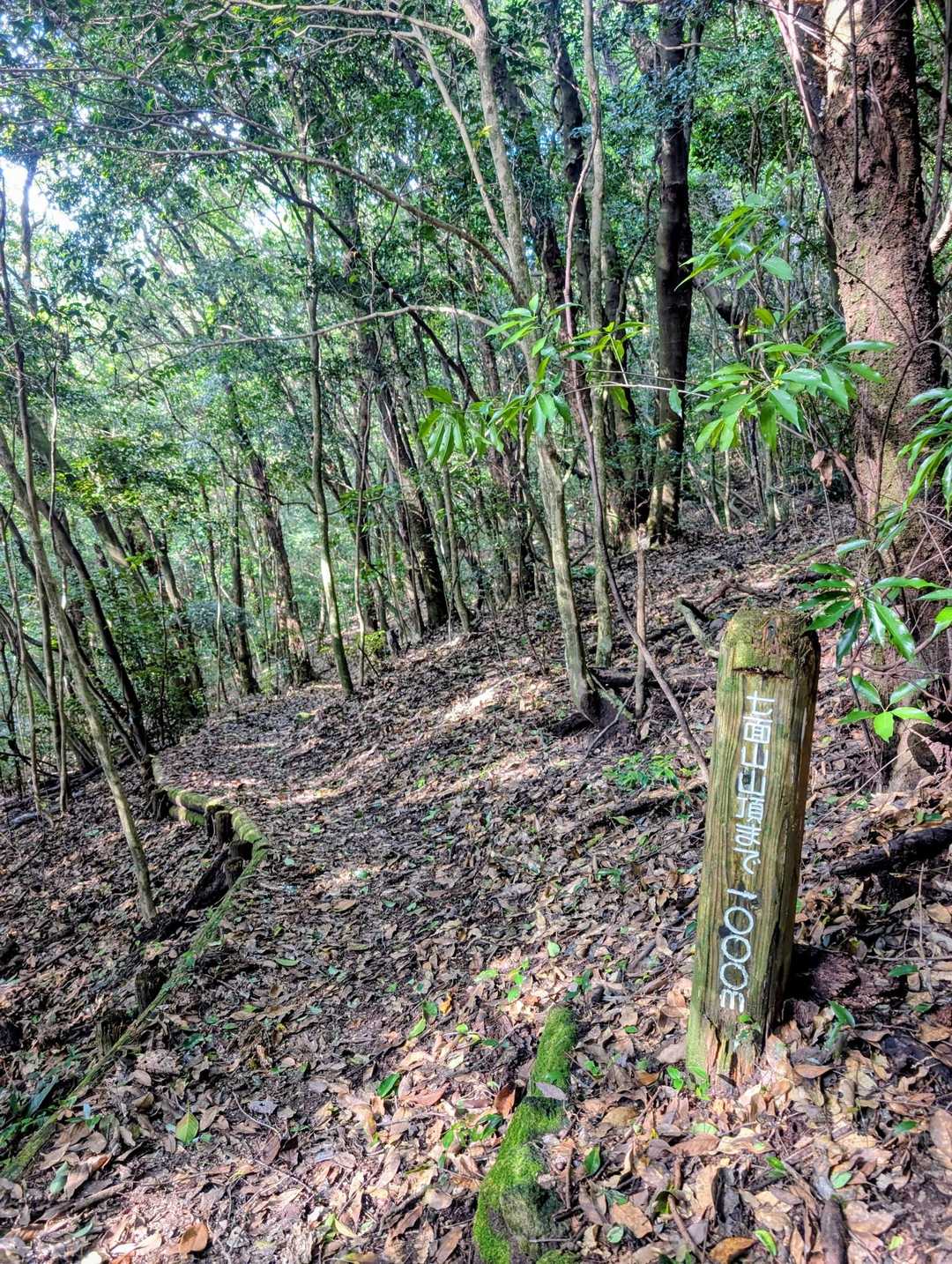 七面山山頂まで1000m✨